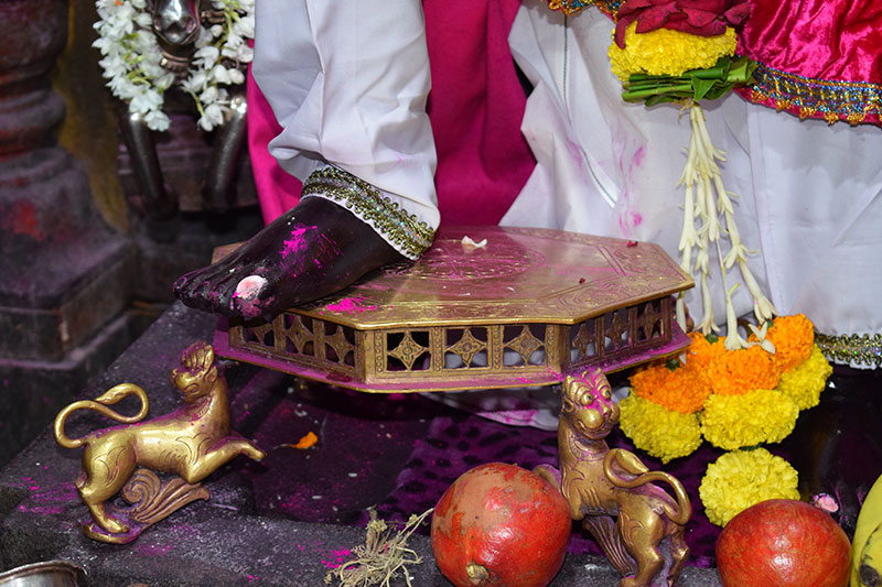 Festival images