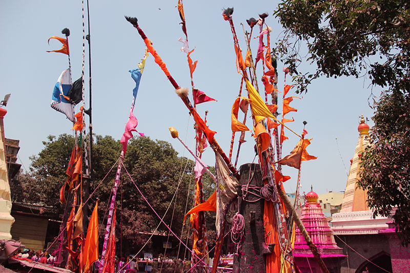 Festival images