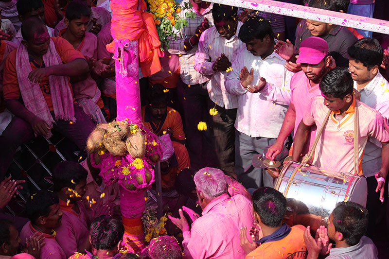 Festival images