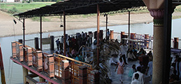 img-6