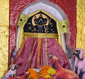 kamdhenu Gai